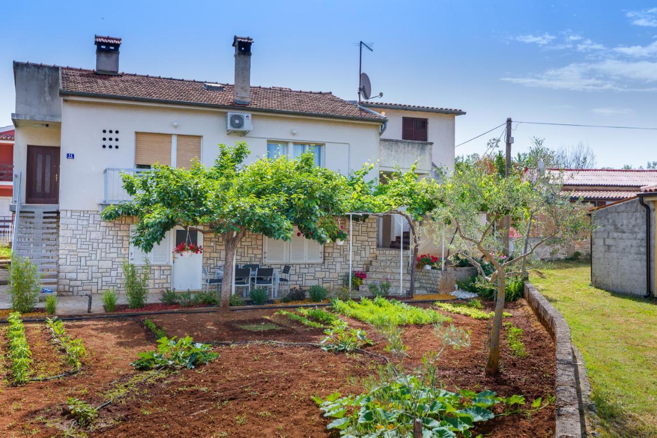 Apartment Tesic Close To The Sea With Shared 4Xbicycles Fažana Exterior foto