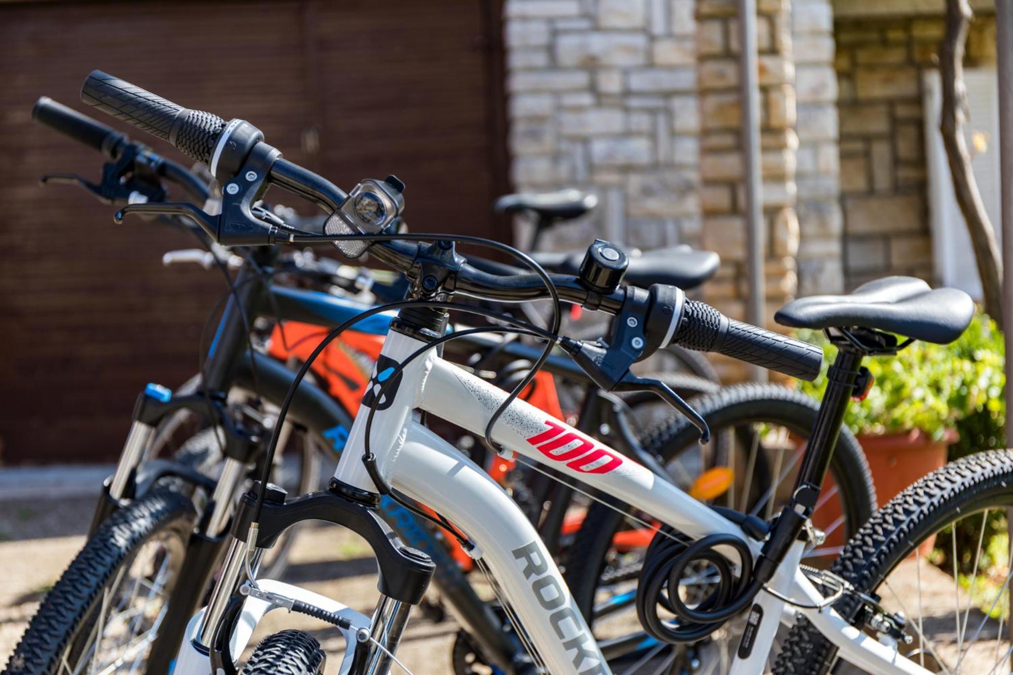 Apartment Tesic Close To The Sea With Shared 4Xbicycles Fažana Exterior foto